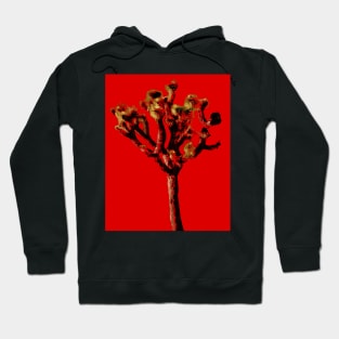 joshua tree Hoodie